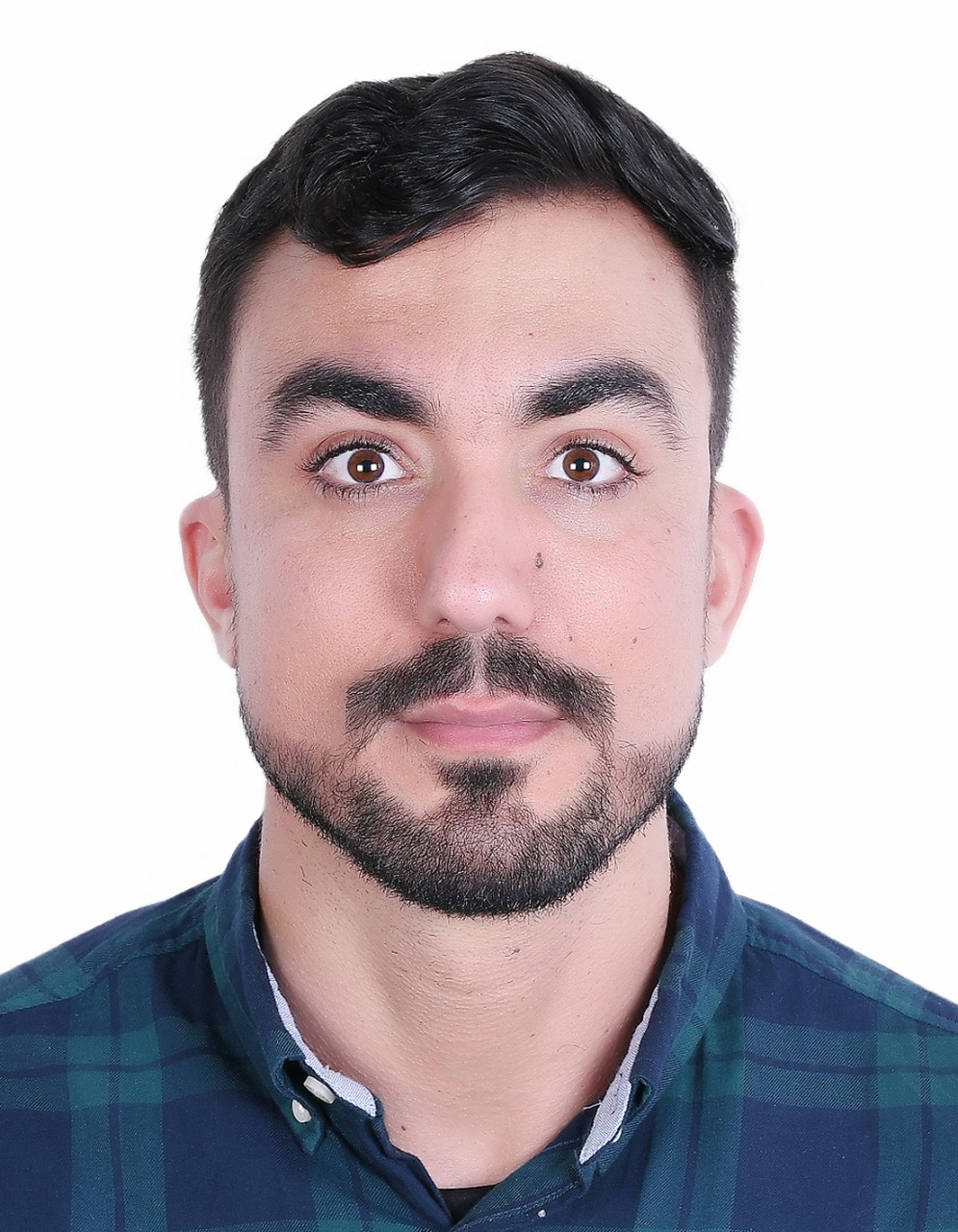 Portrait de l'expert